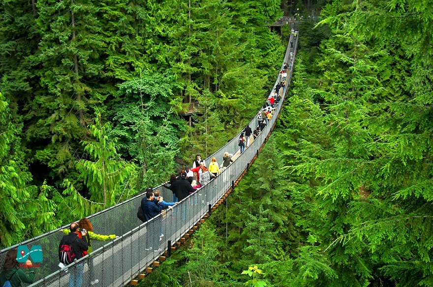 31) قدم زدن روی پل معلق کاپیلانو (Capilano Suspension Bridge) در ونکوور، کانادا 