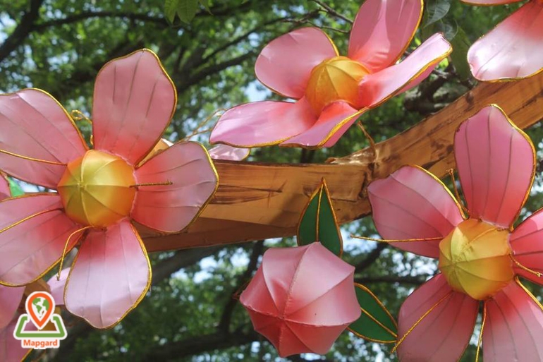 تاریخچه فستیوال (Ueno Sakura Matsuri)، جشنواره فانوس شکوفه‌های گیلاس ژاپن