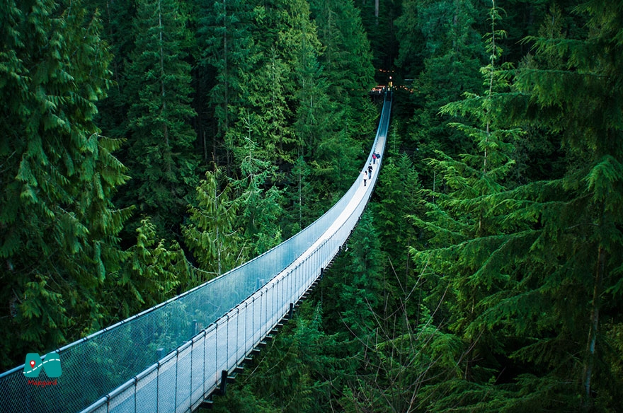 قدم زدن روی پل معلق کاپیلانو (Capilano Suspension Bridge) در ونکوور، کانادا 