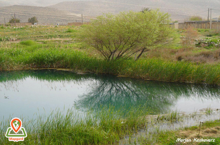 چشمه کاخ اردشیر بابکان