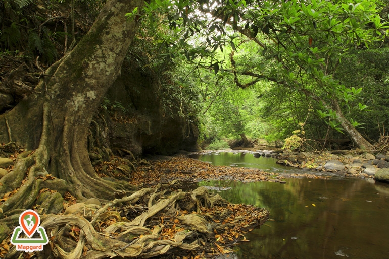 پارک ملی خائو یای (Khao Yai)