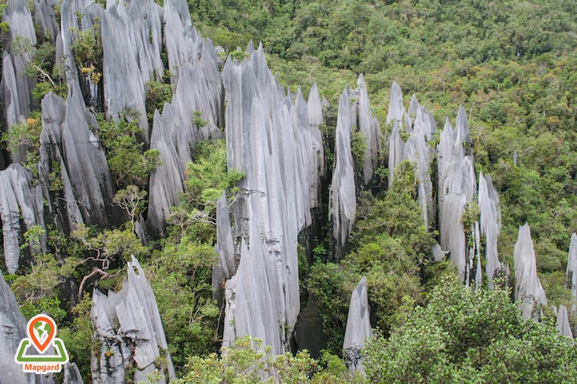 پارک ملی گونانگ مولو (Gunung Mulu)