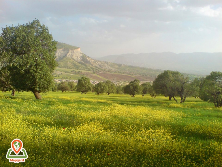 منطقه جنگلی ششدار ایلام