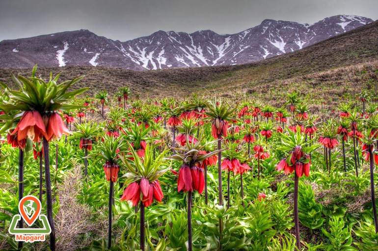 ایران