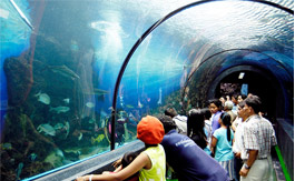 آکواریوم پوکت (Phuket Aquarium) |  ویدیویی جالب از تایلند