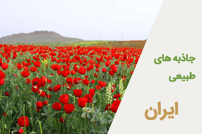 بوم گردی و طبیعت گردی ایران