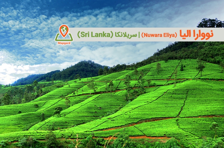 نووارا الیا (Nuwara Eliya)