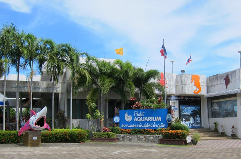 آکواریوم پوکت (Phuket Aquarium)