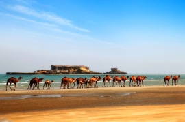 جزایر ناز