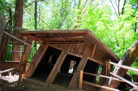 اورگون ورتکس (Oregon Vortex)