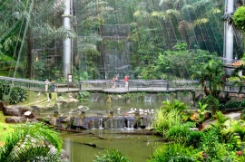 باغ پرندگان کوالالامپور | بزرگترین پارک پرواز آزاد جهان