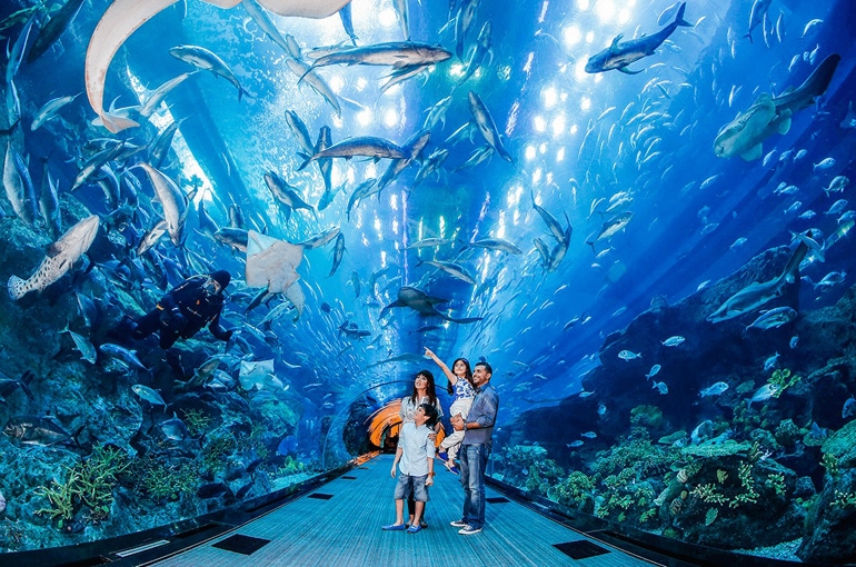 آکواریوم و باغ وحش زیر آبی دبی | بزرگترین آکواریوم سرپوشیده جهان